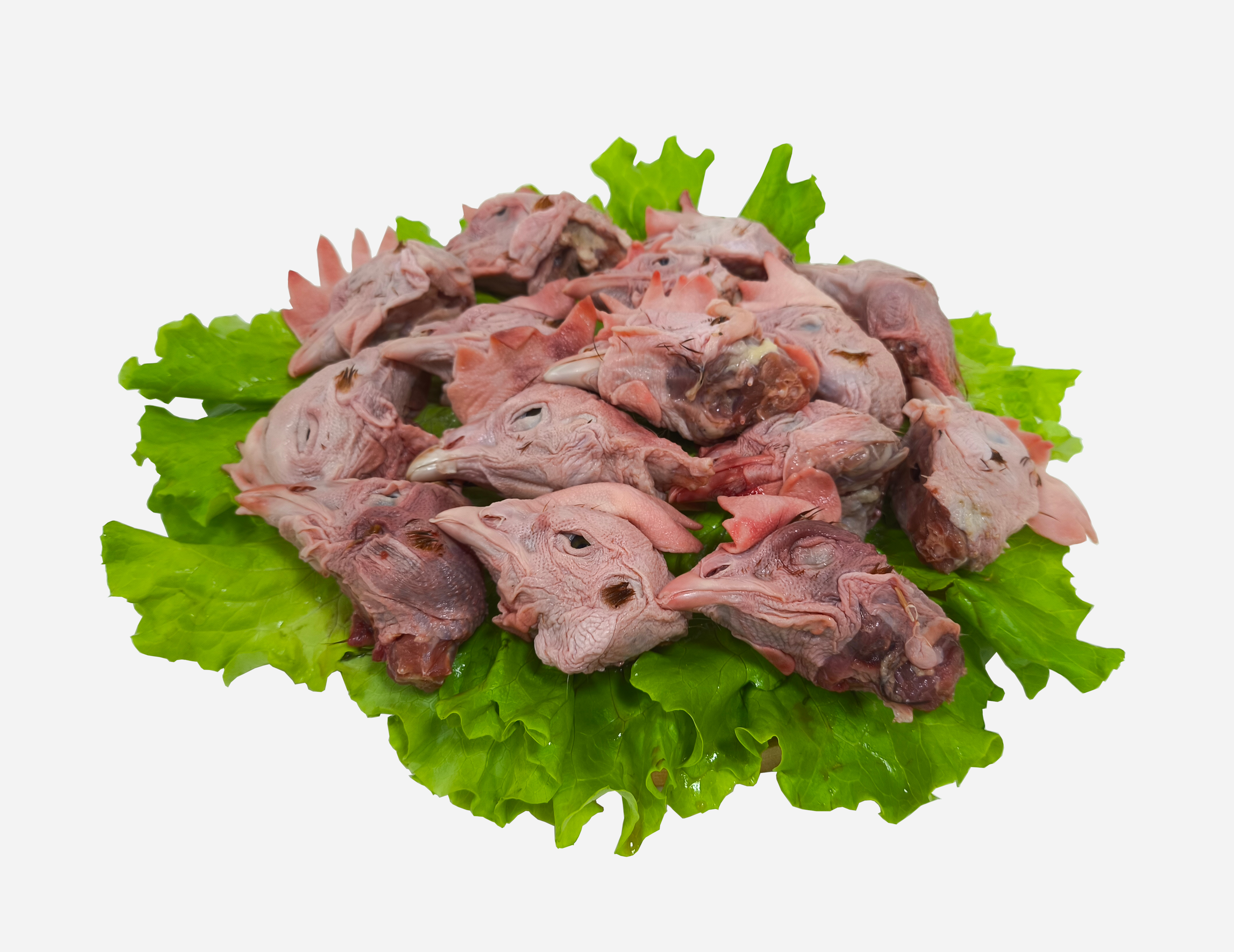 Головы кур